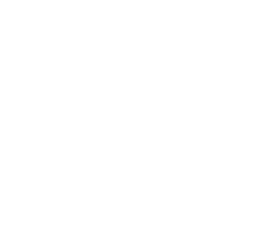 Auto Ventura × App Detailing